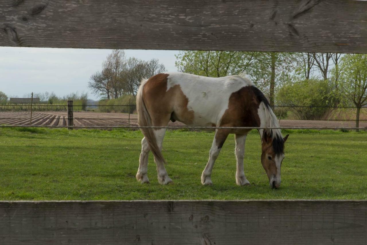 Vakantiehuis Boeren Bed Landelijk
