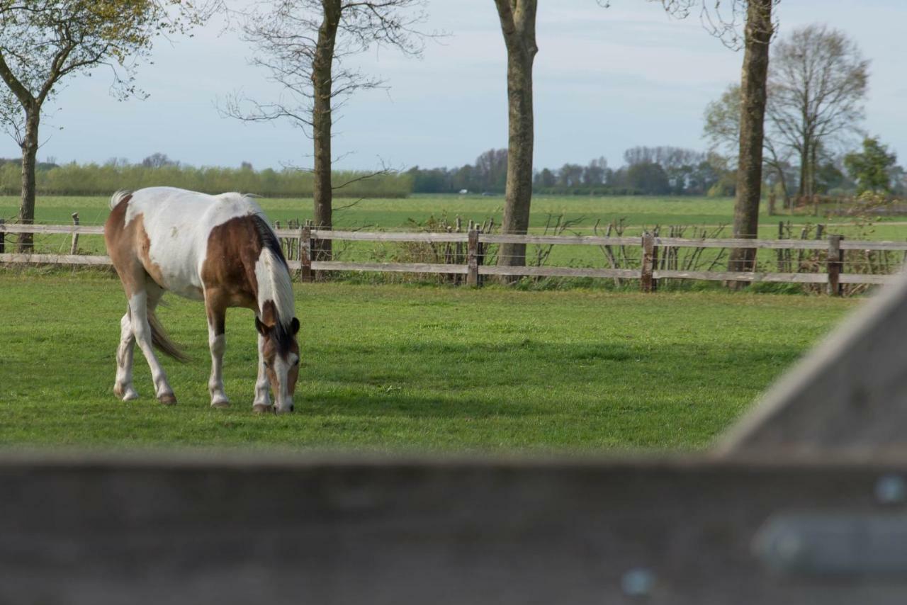 Boeren Bed Landelijk * Biezen